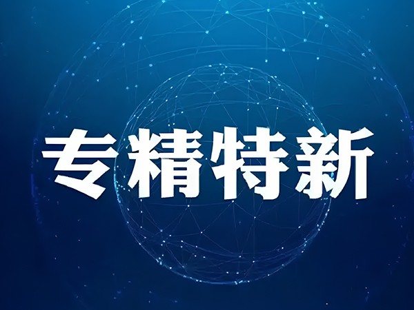 十四载砥砺，汉玛克荣膺省级 “专精特新”